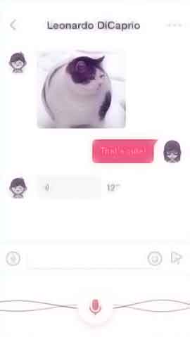 cc网页端软件程序维护界面